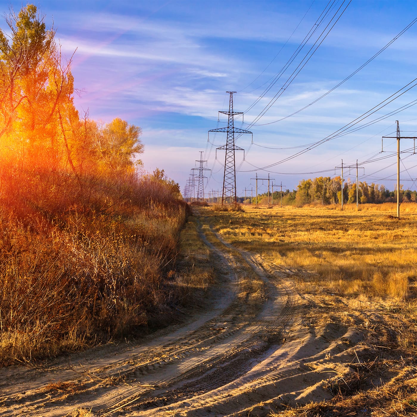 Field with transmission lines