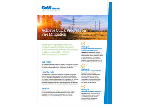Fire Mitigation Flyer