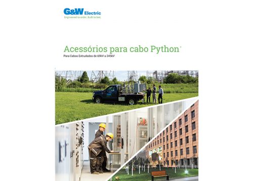 Python Brochure