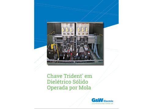 Trident Switch gear Brochure
