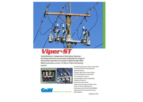 Viper ST Brochure